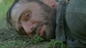 シリーズ作品サムネイル