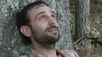 シリーズ作品サムネイル