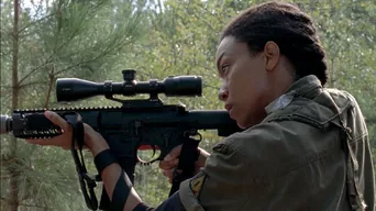 シリーズ作品サムネイル